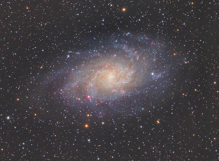 M33